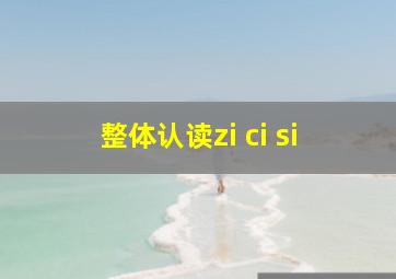 整体认读zi ci si